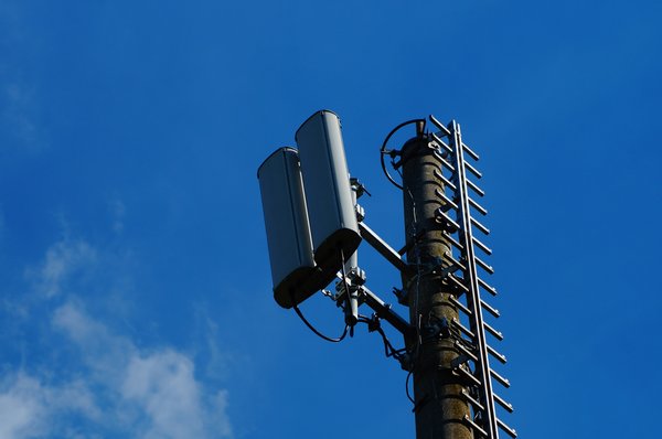 Quels défis spécifiques rencontrent les entreprises familiales dans le secteur viticole pour leur passage à la digitalisation?